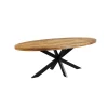IDE - Ovale Tafel Spider - Massief - 210x100x76cm | Belga Meubelen Hot