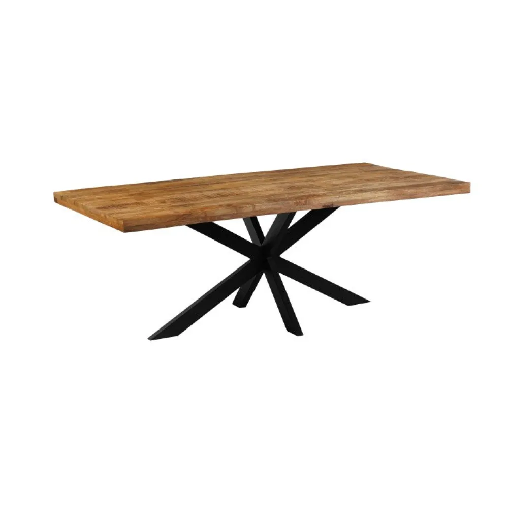 ide__rechtehoekig_tafel_s_0-5.webp IDE - Rechtehoekig Tafel Spider – Massief - 220x100x76cm | Belga Meubelen Discount