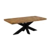 IDE - Rechthoekige Salontafel Spider - Massief - 120x60cm | Belga Meubelen Clearance